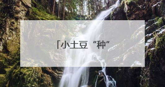 小土豆“种”出共富新图景