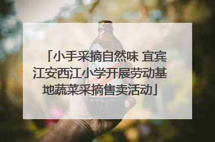 小手采摘自然味 宜宾江安西江小学开展劳动基地蔬菜采摘售卖活动
