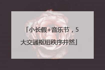 小长假+音乐节，5大交通枢纽秩序井然