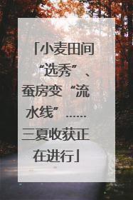 小麦田间“选秀”、蚕房变“流水线”……三夏收获正在进行