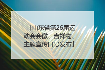 山东省第26届运动会会徽、吉祥物、主题宣传口号发布