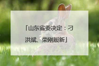 山东省委决定：刁洪斌、荣刚履新