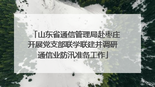 山东省通信管理局赴枣庄开展党支部联学联建并调研通信业防汛准备工作