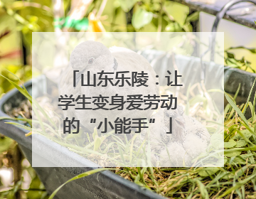 山东乐陵：让学生变身爱劳动的“小能手”