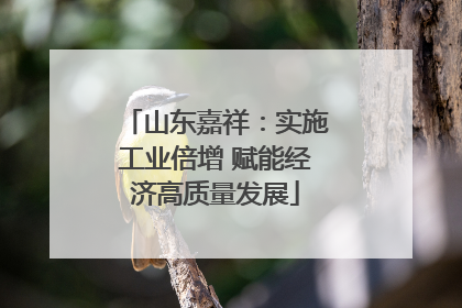 山东嘉祥：实施工业倍增 赋能经济高质量发展