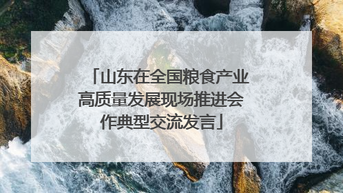 山东在全国粮食产业高质量发展现场推进会作典型交流发言