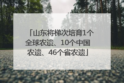 山东将梯次培育1个全球农遗、10个中国农遗、46个省农遗