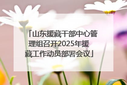 山东援藏干部中心管理组召开2025年援藏工作动员部署会议