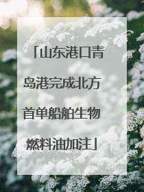 山东港口青岛港完成北方首单船舶生物燃料油加注