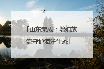 山东荣成：增殖放流守护海洋生态
