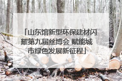山东馆新型环保建材闪耀第九届丝博会 赋能城市绿色发展新征程