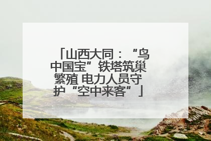 山西大同：“鸟中国宝”铁塔筑巢繁殖 电力人员守护“空中来客”