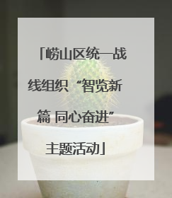 崂山区统一战线组织“智览新篇 同心奋进”主题活动