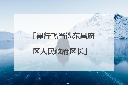 崔行飞当选东昌府区人民政府区长