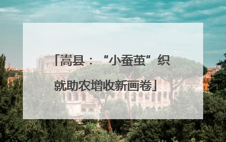 嵩县：“小蚕茧”织就助农增收新画卷