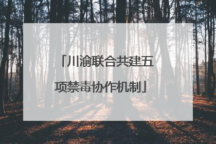 川渝联合共建五项禁毒协作机制