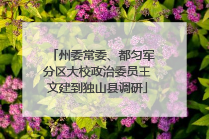 州委常委、都匀军分区大校政治委员王文建到独山县调研