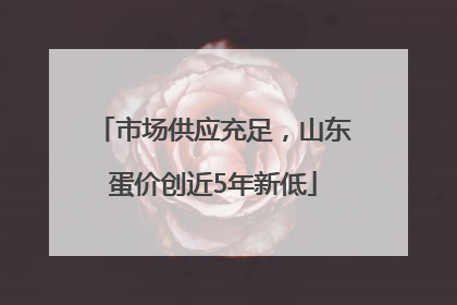 市场供应充足，山东蛋价创近5年新低
