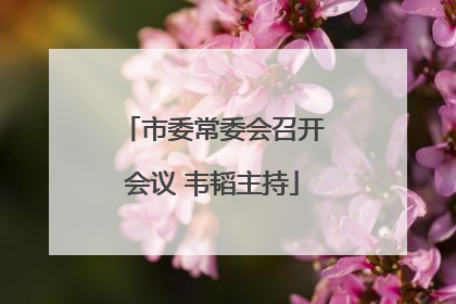 市委常委会召开会议 韦韬主持