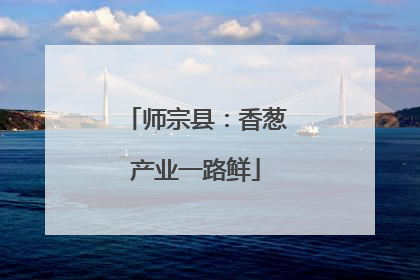师宗县：香葱产业一路鲜