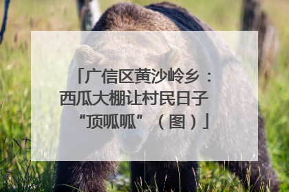 广信区黄沙岭乡：西瓜大棚让村民日子“顶呱呱”（图）