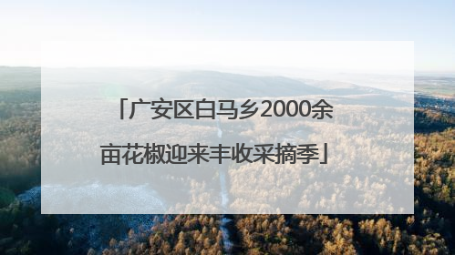 广安区白马乡2000余亩花椒迎来丰收采摘季