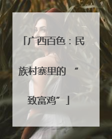 广西百色：民族村寨里的 “致富鸡”