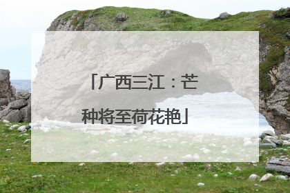 广西三江：芒种将至荷花艳