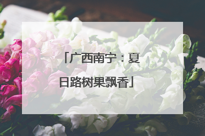 广西南宁：夏日路树果飘香