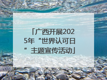 广西开展2025年“世界认可日”主题宣传活动