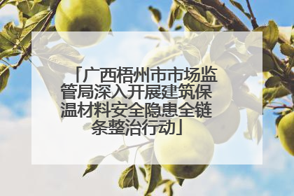 广西梧州市市场监管局深入开展建筑保温材料安全隐患全链条整治行动