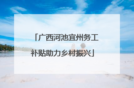 广西河池宜州务工补贴助力乡村振兴