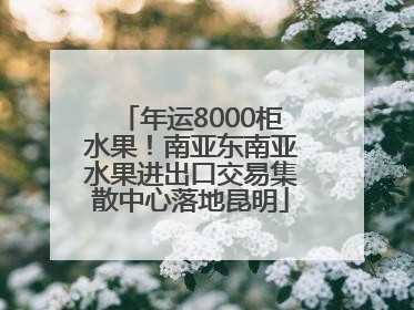 年运8000柜水果！南亚东南亚水果进出口交易集散中心落地昆明