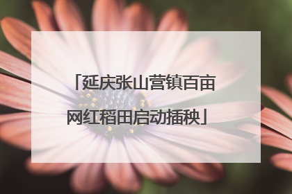 延庆张山营镇百亩网红稻田启动插秧