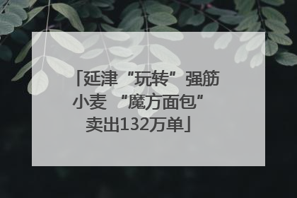延津“玩转”强筋小麦 “魔方面包”卖出132万单