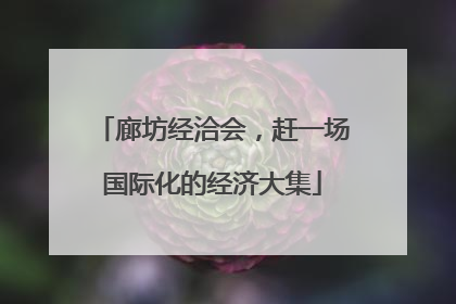 廊坊经洽会，赶一场国际化的经济大集