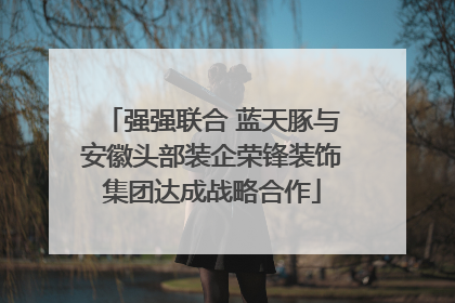 强强联合 蓝天豚与安徽头部装企荣锋装饰集团达成战略合作