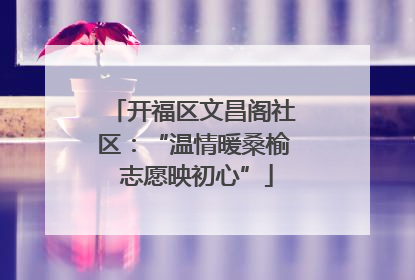 开福区文昌阁社区：“温情暖桑榆 志愿映初心”