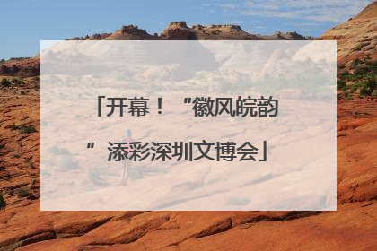 开幕！“徽风皖韵”添彩深圳文博会