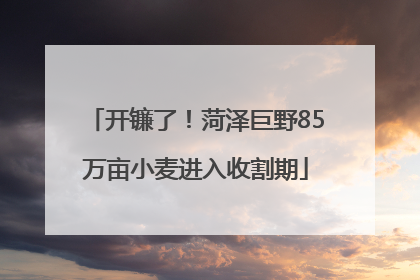 开镰了！菏泽巨野85万亩小麦进入收割期
