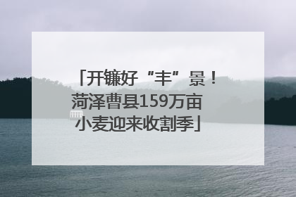 开镰好“丰”景！菏泽曹县159万亩小麦迎来收割季