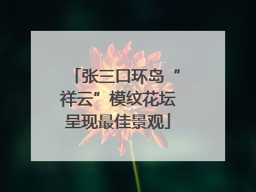 张三口环岛“祥云”模纹花坛呈现最佳景观
