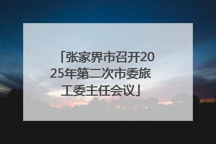 张家界市召开2025年第二次市委旅工委主任会议