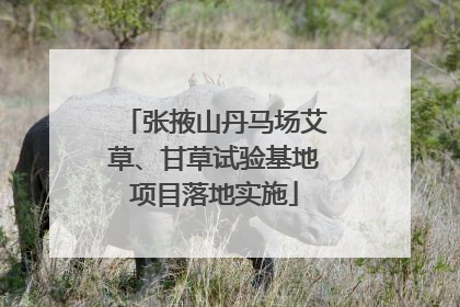 张掖山丹马场艾草、甘草试验基地项目落地实施