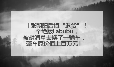 张朝阳后悔“退货”！一个绝版Labubu，被胡润拿去换了一辆车，整车原价值上百万元