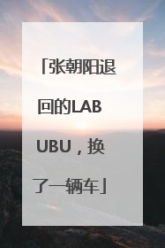 张朝阳退回的LABUBU，换了一辆车