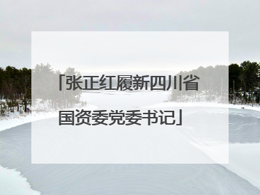 张正红履新四川省国资委党委书记