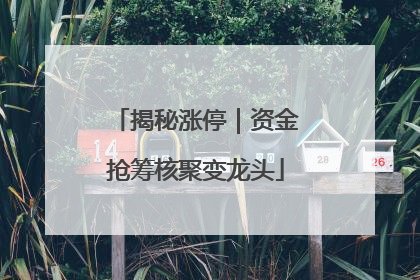 揭秘涨停｜资金抢筹核聚变龙头
