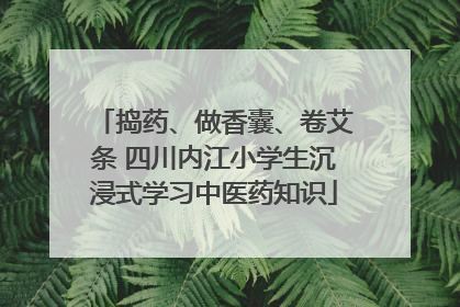 捣药、做香囊、卷艾条 四川内江小学生沉浸式学习中医药知识