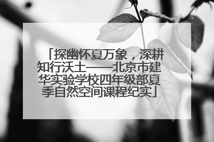 探幽怀夏万象，深耕知行沃土——北京市建华实验学校四年级部夏季自然空间课程纪实